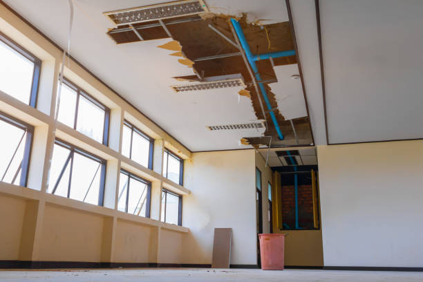 Best Water damage restoration near me  in East Setauket, NY