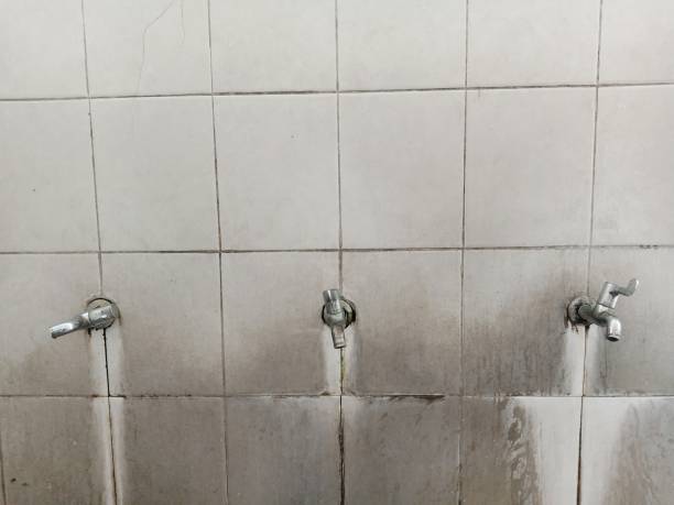 Best Water damage restoration process  in East Setauket, NY