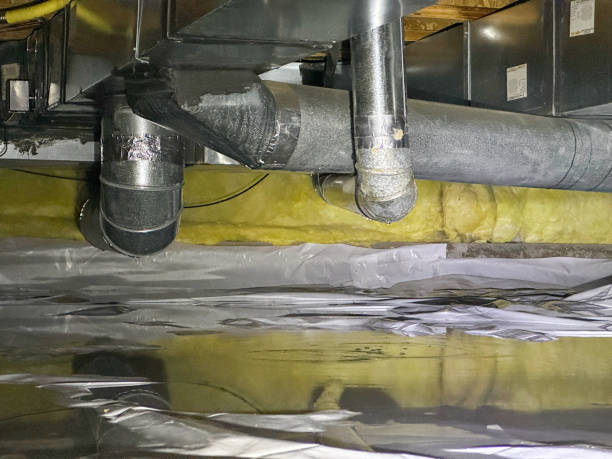 Best Water damage restoration specialists  in East Setauket, NY