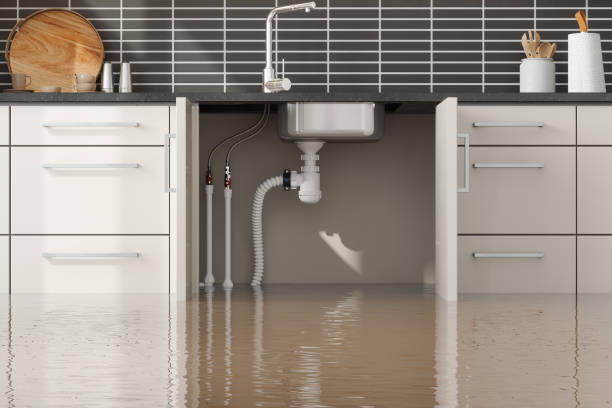 Best Flood restoration services  in East Setauket, NY